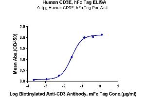 Immobilized Human CD3E at 1 μg/mL (100 μL/Well) on the plate. (CD3 epsilon Protein (CD3E) (AA 23-126) (Fc Tag))