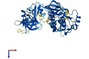 AlphaFold protein structure predicition of Mouse Recombinant Ptk6 Protein, UniprotID Q64434 (PTK6 Protein (AA 1-451) (His tag))