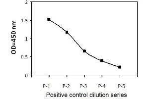 K562 cells were treated with Pervanadate (PV). (STAT2 ELISA Kit)