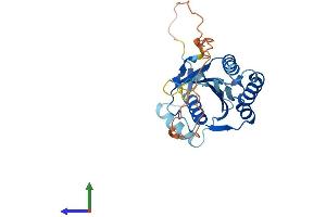 AlphaFold protein structure predicition of Human Recombinant MAF1 Protein, UniprotID Q9H063 (MAF1 Protein (AA 1-256) (His tag))
