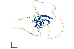 Protein Structure (PS) image for Sprouty-Related, EVH1 Domain Containing 2 (SPRED2) (AA 1-418) protein (His tag) (ABIN7546308)