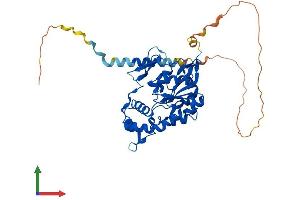AlphaFold protein structure predicition of Human Recombinant HS3ST3B1 Protein, UniprotID Q9Y662 (HS3ST3B1 Protein (AA 1-390) (His tag))