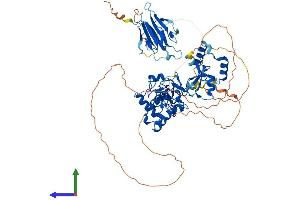 AlphaFold protein structure predicition of Mouse Recombinant Chfr Protein, UniprotID Q810L3 (CHFR Protein (AA 1-664) (His tag))