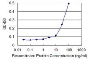 Detection limit for recombinant GST tagged KLHL4 is 1 ng/ml as a capture antibody. (Kelch-Like 4 antibody  (AA 1-100))