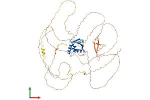 AlphaFold protein structure predicition of Mouse Recombinant Elf1 Protein, UniprotID Q60775 (ELF1 Protein (AA 1-612) (His tag))