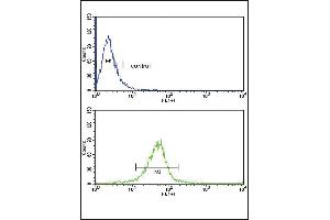 Flow cytometric analysis of MDA-MB231 cells (bottom histogram) compared to a negative control cell (top histogram). (GSTM1 antibody  (C-Term))