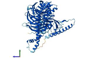 Protein Structure (PS) image for Bardet-Biedl Syndrome 7 (BBS7) (AA 1-715) protein (His tag) (ABIN7552607)