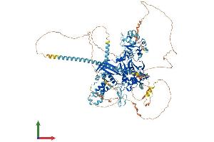 AlphaFold protein structure predicition of Human Recombinant USP8 Protein, UniprotID P40818 (USP8 Protein (AA 1-1118) (His tag))