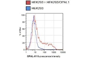 Flow cytometry analysis of OPAL-transfected HEK293 cells using mouse monoclonal antibody (OPAL1 antibody  (AA 152-342))