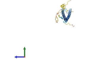 AlphaFold protein structure predicition of Mouse Recombinant Bloc1s4 Protein, UniprotID Q8VED2
