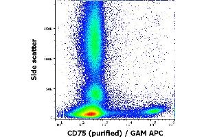 Flow cytometry surface staining pattern of human peripheral whole blood stained using anti-human CD75 (LN1) purified antibody (concentration in sample 5 μg/mL, GAM APC). (ST6GAL1 antibody)