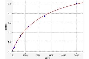 Insulin Receptor ELISA Kit