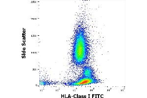 Flow cytometry surface staining pattern of human peripheral whole blood stained using anti-human HLA Class I (W6/32) FITC antibody (concentration in sample 3 μg/mL). (MICA antibody  (FITC))