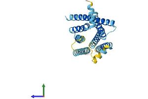 AlphaFold protein structure predicition of Mouse Recombinant Tas2r4 Protein, UniprotID Q9JKT3 (TAS2R4 Protein (AA 1-297) (His tag))