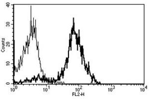 Flow Cytometry (FACS) image for anti-CD86 (CD86) antibody (PE) (ABIN1106596) (CD86 antibody  (PE))