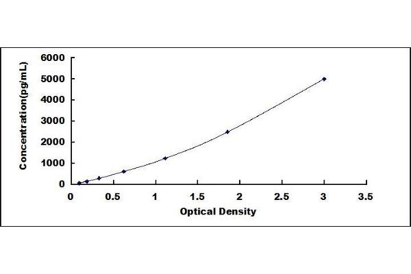 LEPRE1 ELISA Kit