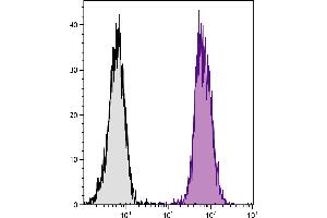 BALB/c mouse splenocytes were stained with Rat Anti-Mouse CD45-UNLB. (Goat anti-Rat IgG (Heavy & Light Chain) Antibody (PE) - Preadsorbed)