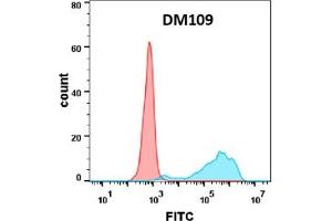 Flow cytometry analysis with Anti-B7-1 (DM109) on Expi293 cells transfected with human B7-1 (Blue histogram) or Expi293 transfected with irrelevant protein (Red histogram). (CD80 antibody  (AA 35-242))