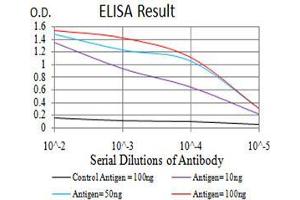 Black line: Control Antigen (100 ng), Purple line: Antigen(10 ng), Blue line: Antigen (50 ng), Red line: Antigen (100 ng), (GAD65 antibody  (AA 1-100))