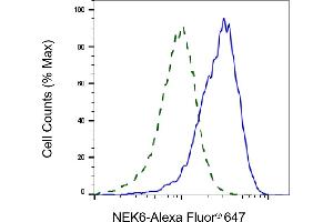 Validation of NEK6 knockdown using flow cytometry.