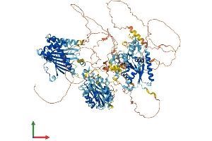 Protein Structure (PS) image for Phosphatidylinositol Transfer Protein, Membrane-Associated 2 (PITPNM2) (AA 1-1349) protein (His tag) (ABIN7554941)