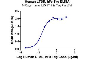 ELISA image for Lymphotoxin beta Receptor (TNFR Superfamily, Member 3) (LTBR) (AA 31-227) protein (Fc Tag) (ABIN7275218)