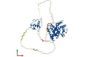 Protein Structure (PS) image for Retinoic Acid Receptor, alpha (RARA) (AA 1-462) protein (His tag) (ABIN7562838)