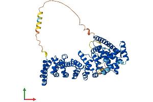 Protein Structure (PS) image for Catenin, beta Like 1 (CTNNBL1) (AA 1-563) protein (His tag) (ABIN7546845)