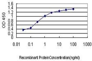 Detection limit for recombinant GST tagged AKT3 is approximately 0. (AKT3 antibody  (AA 100-189))