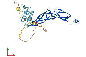 Protein Structure (PS) image for DnaJ (Hsp40) Homolog, Subfamily B, Member 5 (DNAJB5) (AA 1-348) protein (His tag) (ABIN7562716)