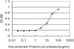Detection limit for recombinant GST tagged CCT6B is approximately 0. (CCT6B antibody  (AA 1-530))