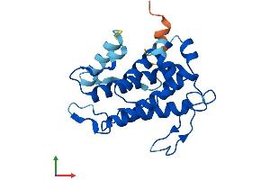 AlphaFold protein structure predicition of Mouse Recombinant Mob3a Protein, UniprotID Q8BSU7 (MOBKL2A Protein (AA 1-217) (His tag))