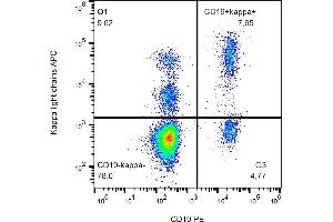 Flow cytometry analysis (surface staining) of kappa light chains in human peripheral blood cells with anti-kappa light chains (TB28-2) APC. (kappa Light Chain antibody  (APC))