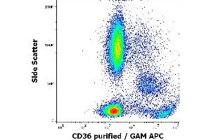 Flow cytometry surface staining pattern of human peripheral whole blood stained using anti-human CD36 (TR9) purified antibody (concentration in sample 1 μg/mL, GAM APC). (CD36 antibody)