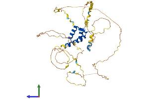 AlphaFold protein structure predicition of Human Recombinant HOXA3 Protein, UniprotID O43365