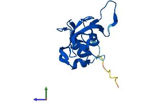 AlphaFold protein structure predicition of Human Recombinant RPL23 Protein, UniprotID P62829