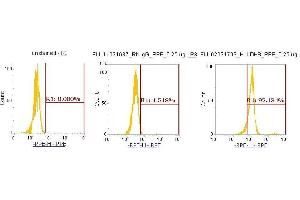 Flow Cytometry (FACS) image for anti-Lactate Dehydrogenase B (LDHB) (AA 1-334) antibody (PE) (ABIN5565786) (LDHB antibody  (AA 1-334) (PE))