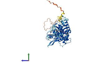 AlphaFold protein structure predicition of Human Recombinant PGBD4 Protein, UniprotID Q96DM1 (PGBD4 Protein (AA 1-585) (His tag))