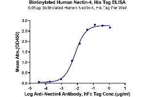 Immobilized Biotinylated Human Nectin-4, His Tag at 0. (PVRL4 Protein (AA 32-351) (His-Avi Tag,Biotin))