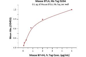 ELISA image for B and T Lymphocyte Associated (BTLA) (AA 30-176) (Active) protein (His tag) (ABIN4949159)