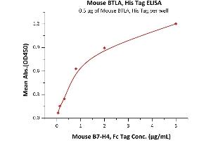 Immobilized Mouse BTLA, His Tag (ABIN4949158,ABIN4949159) at 5 μg/mL (100 μL/well) can bind Mouse B7-H4, Fc Tag  with a linear range of 0.