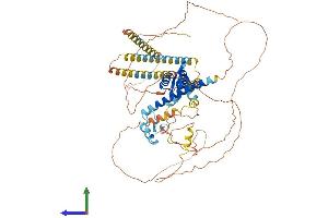 AlphaFold protein structure predicition of Human Recombinant FOXP1 Protein, UniprotID Q9H334 (FOXP1 Protein (AA 1-677) (His tag))