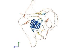 AlphaFold protein structure predicition of Mouse Recombinant Nfatc1 Protein, UniprotID O88942 (NFATC1 Protein (AA 1-717) (His tag))