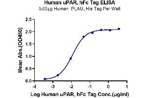 ELISA image for Plasminogen Activator, Urokinase Receptor (PLAUR) (AA 23-305) protein (Fc Tag) (ABIN7275406)