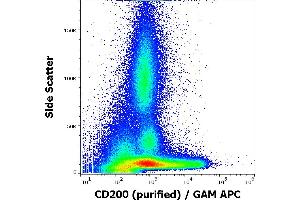 Flow cytometry surface staining pattern of human peripheral blood stained using anti-human CD200 (OX-104) purified antibody (concentration in sample 4 μg/mL) GAM APC.