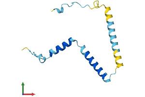 AlphaFold protein structure predicition of Human Recombinant FAM32A Protein, UniprotID Q9Y421 (FAM32A Protein (AA 1-112) (His tag))