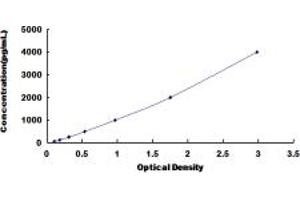 Typical standard curve (REG1B ELISA Kit)