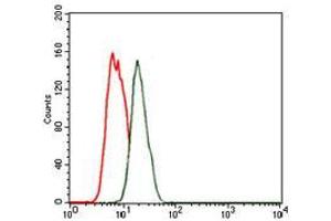 Flow cytometric analysis of MCF-7 cells using NKX2. (Nkx2-2 antibody)