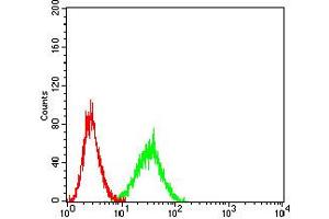 Flow cytometric analysis of Ramos cells using CD1C mouse mAb (green) and negative control (red). (CD1c antibody  (AA 18-302))