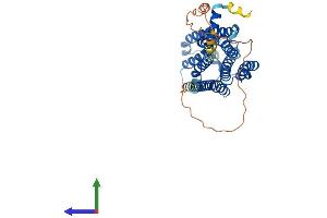 AlphaFold protein structure predicition of Mouse Recombinant Gpr84 Protein, UniprotID Q8CIM5